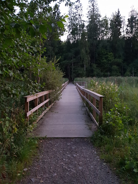 brown wooden bridge beside trees during daytime in Alingsås Sweden