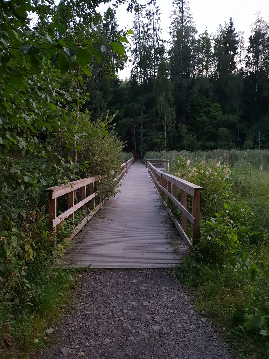 Forest photo spot Alingsås Träslövsläge