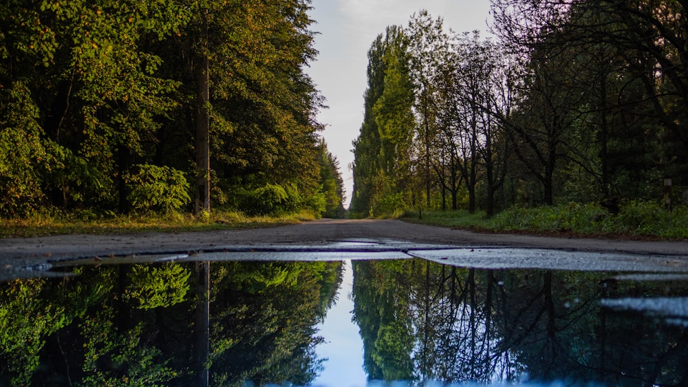 body of water photograph