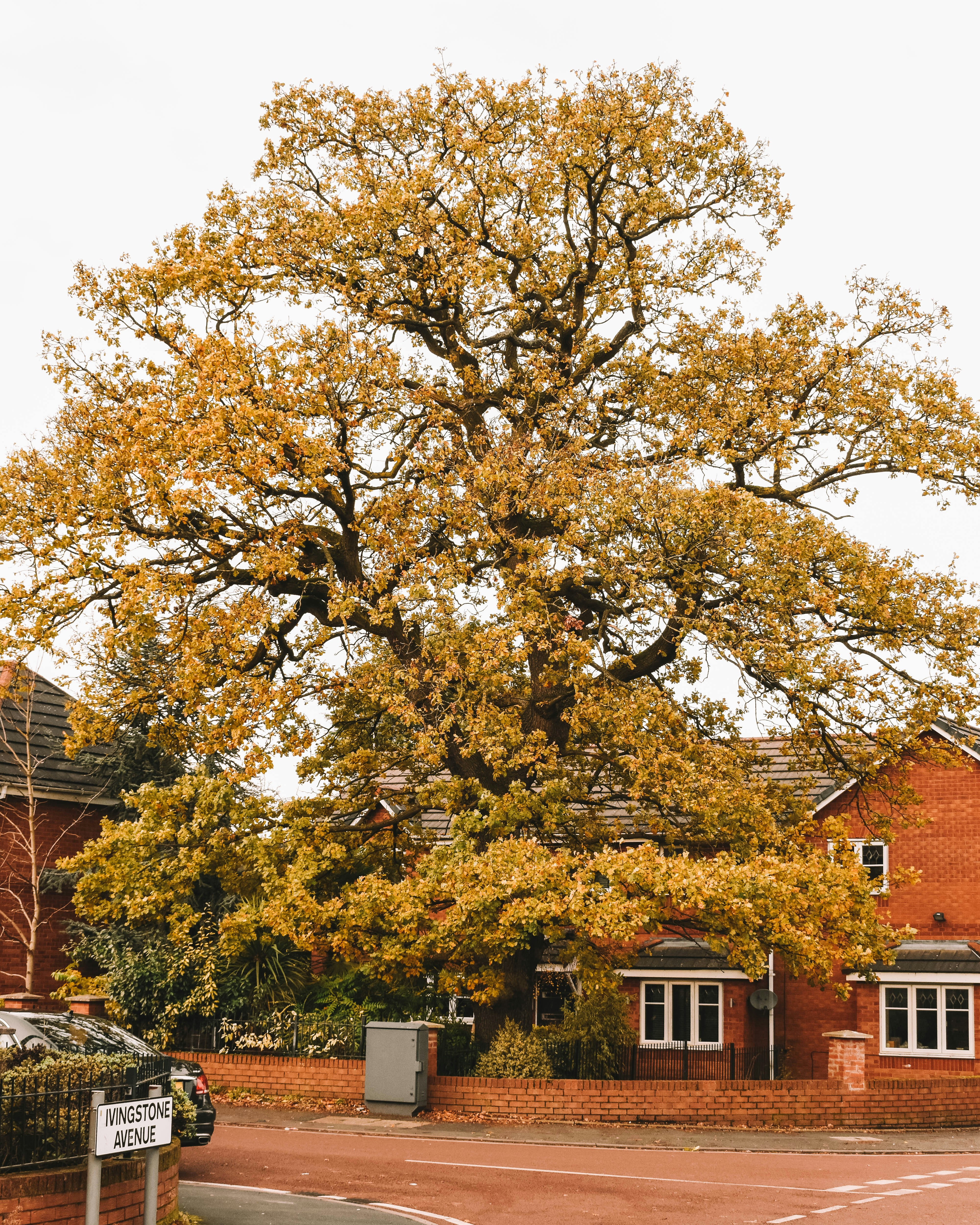 500 Lightroom Backgrounds Download Free Images On Unsplash