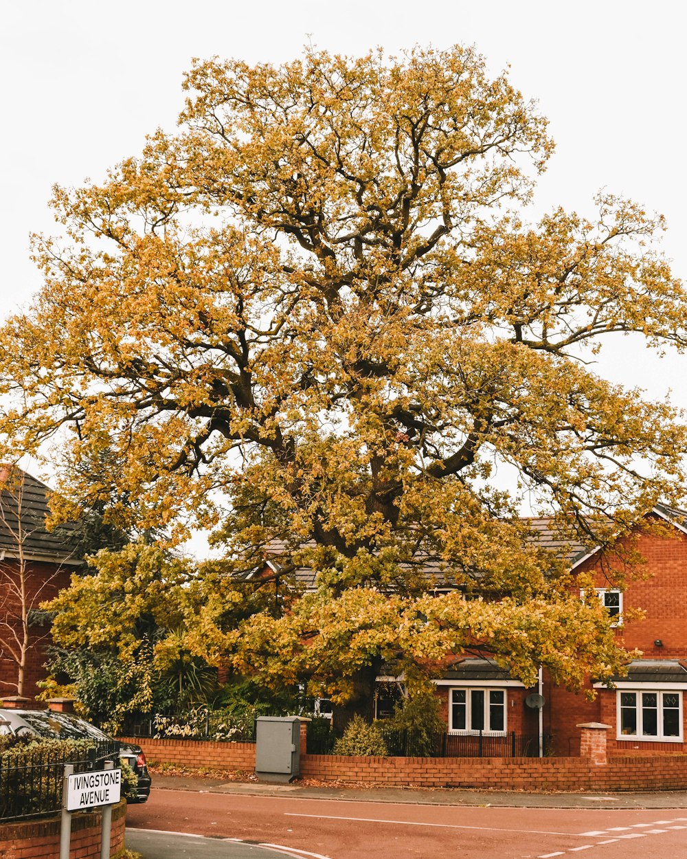 orangefarbenes und graues Haus