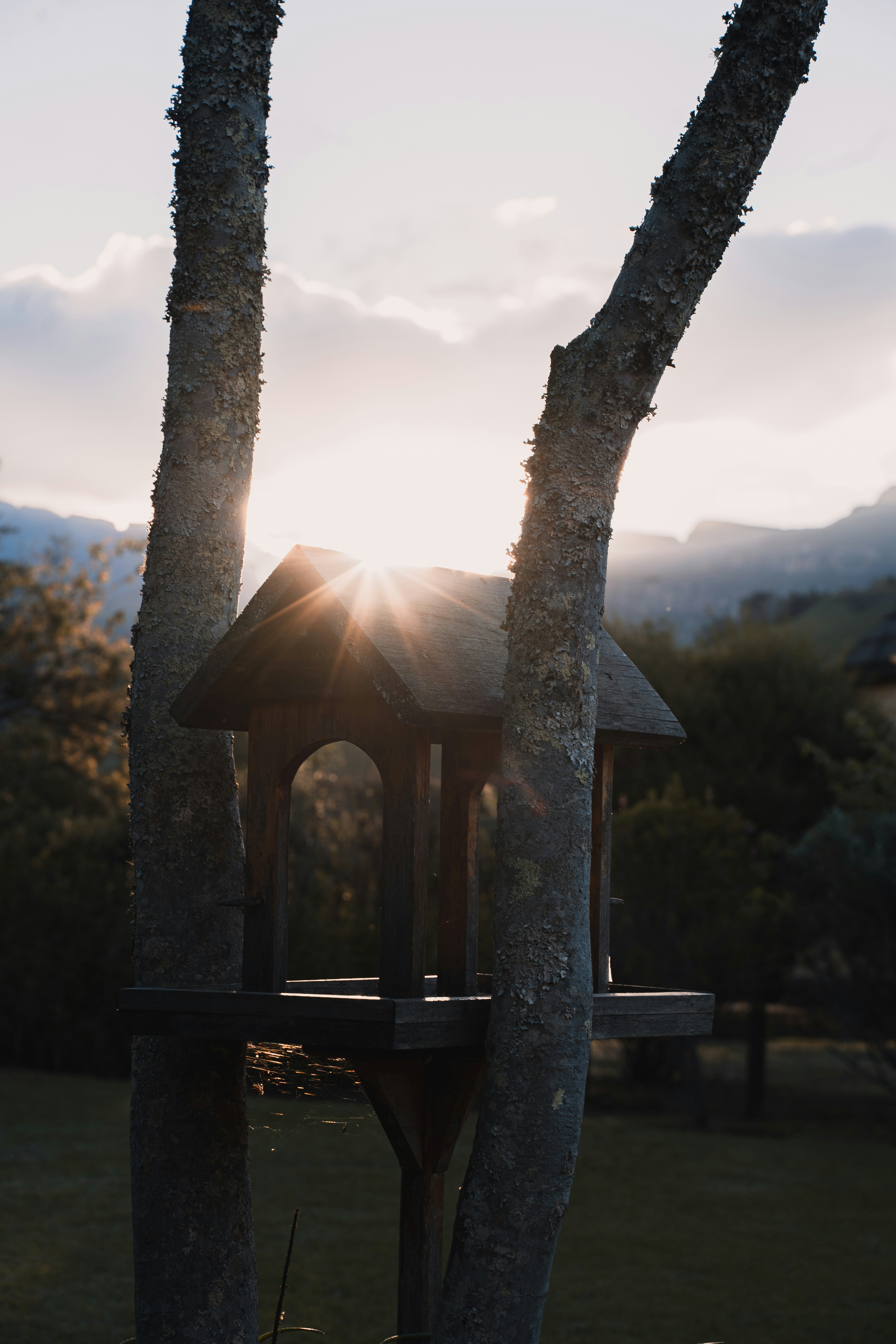 Photo by walterrandlehoff