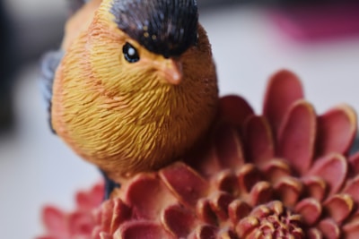 A close-up of a vibrant handmade ceramic bird trinket with intricate painted details.