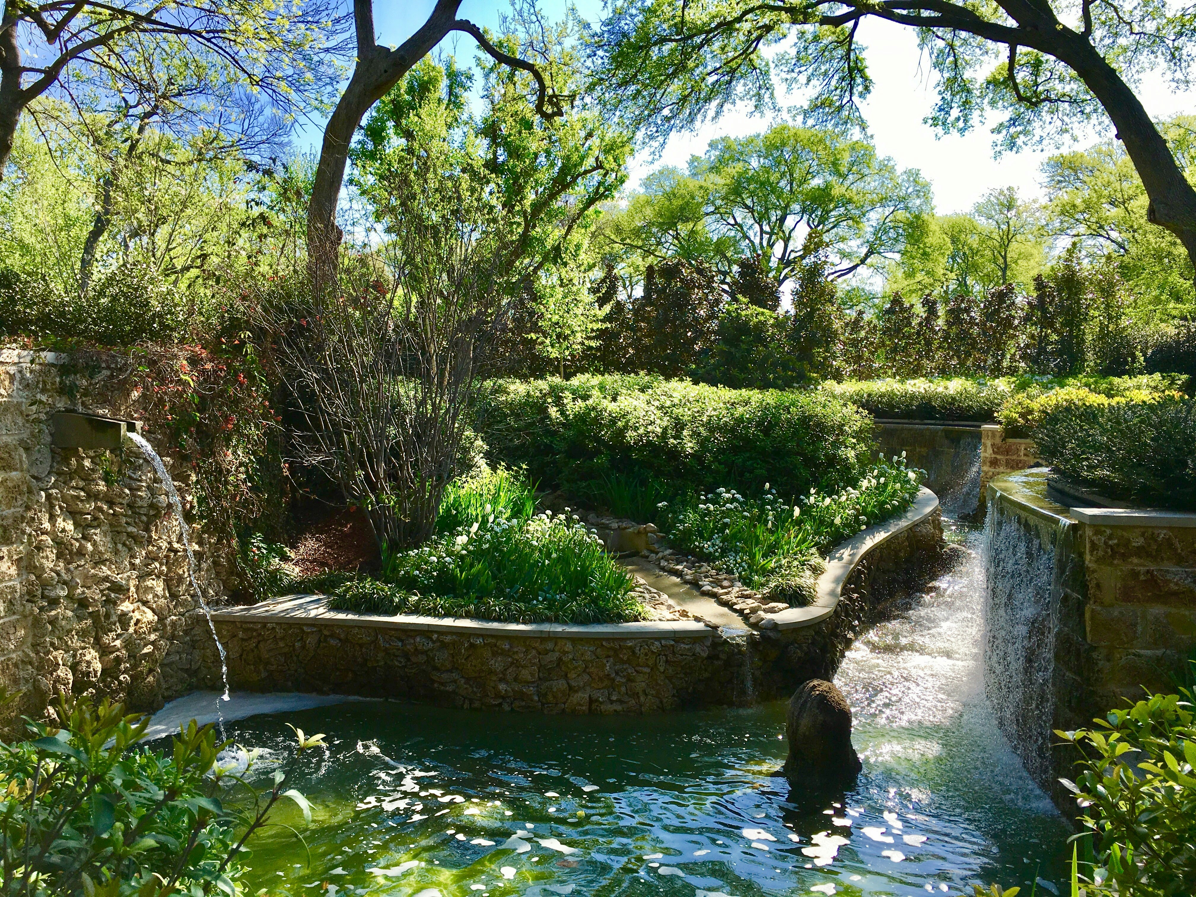 So You Watched a Few YouTube Videos: The Real Price of DIY Pool Landscaping in The Woodlands