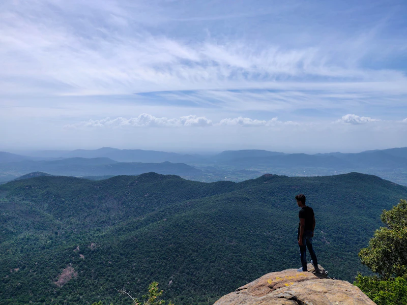 The Complete Travel Guide to Yercaud: Everything You Need to Plan Your Trip