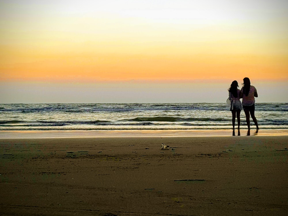 silhouette photo of couple on beach