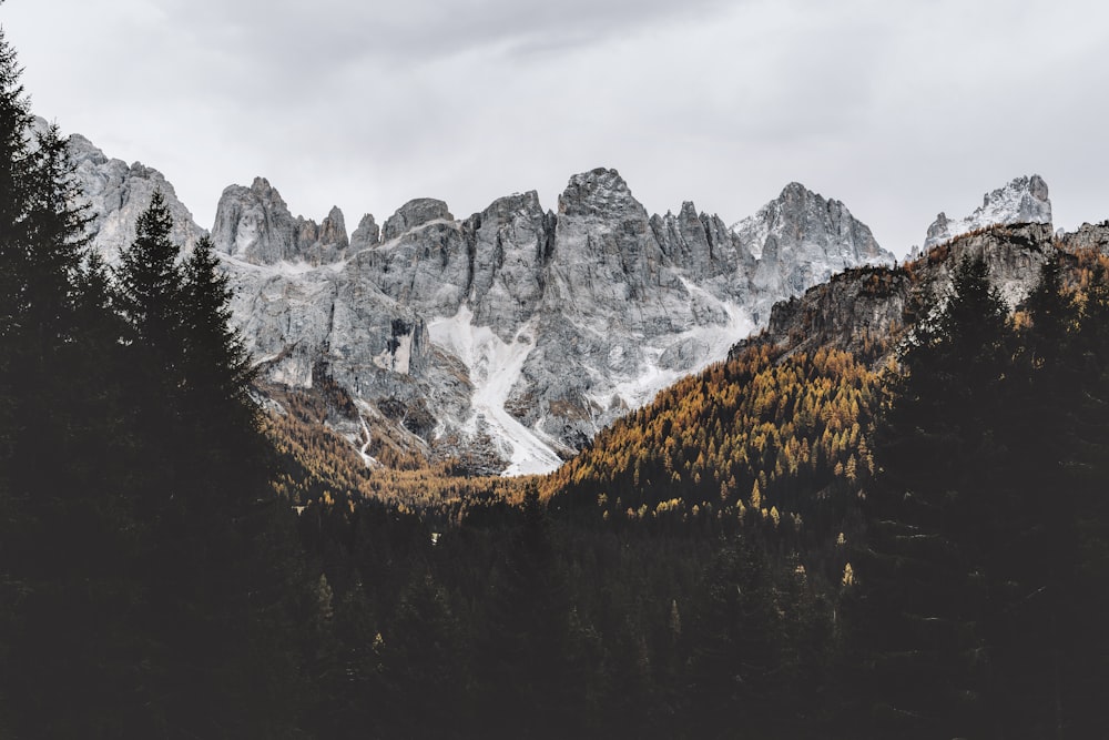 grey rocky mountain with trees below daytime