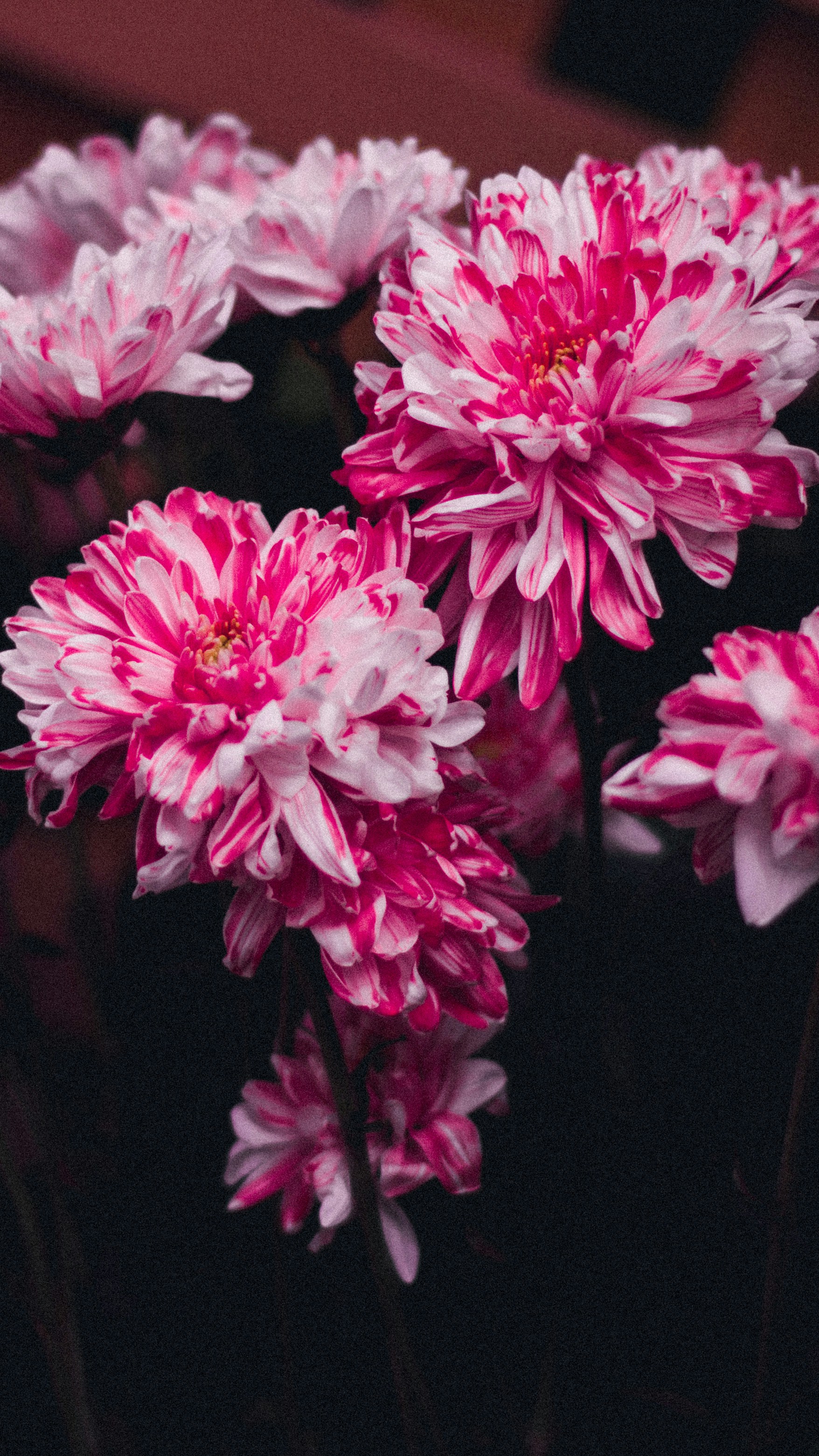 Photo by dhayaeddinebentaleb