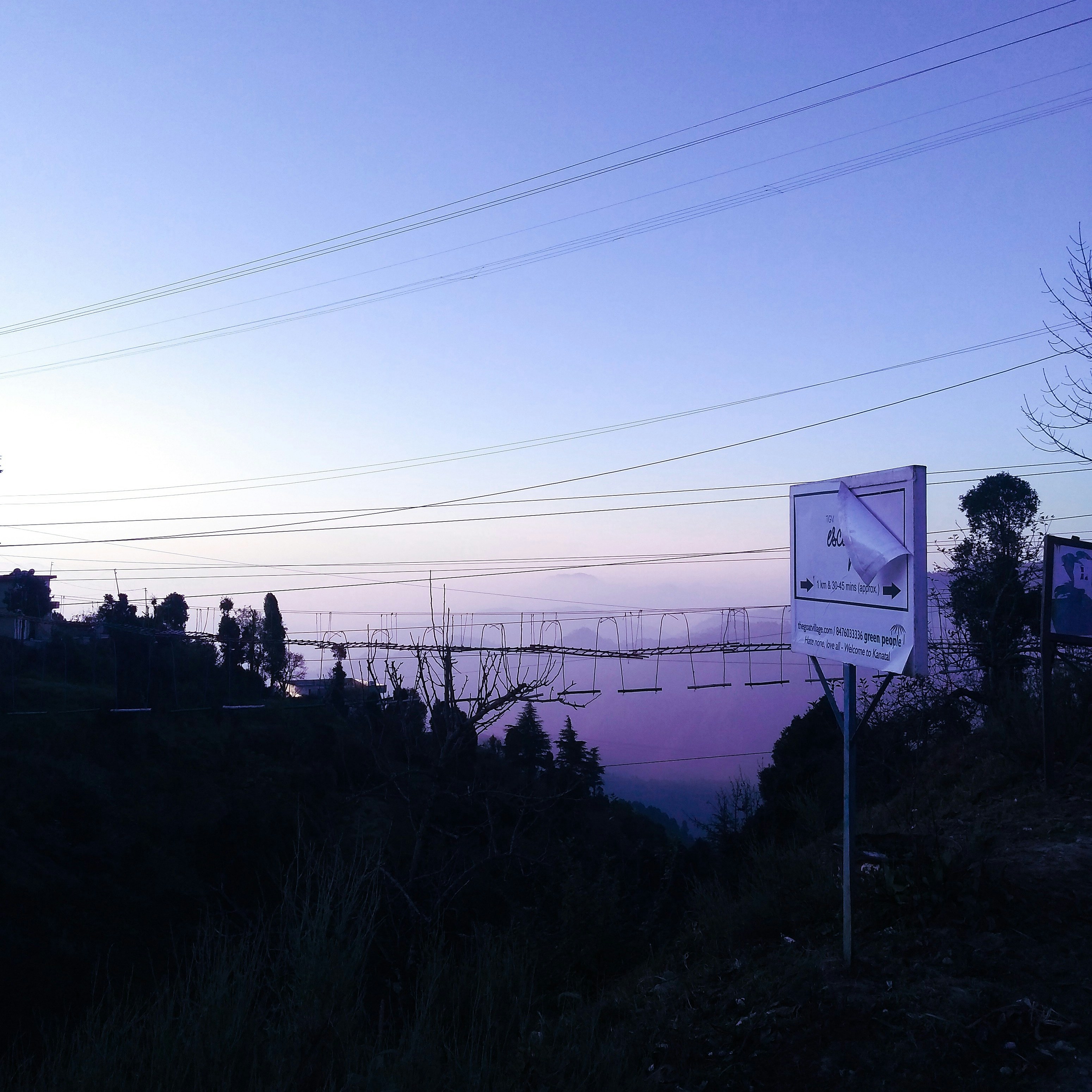 foto siluet pohon
