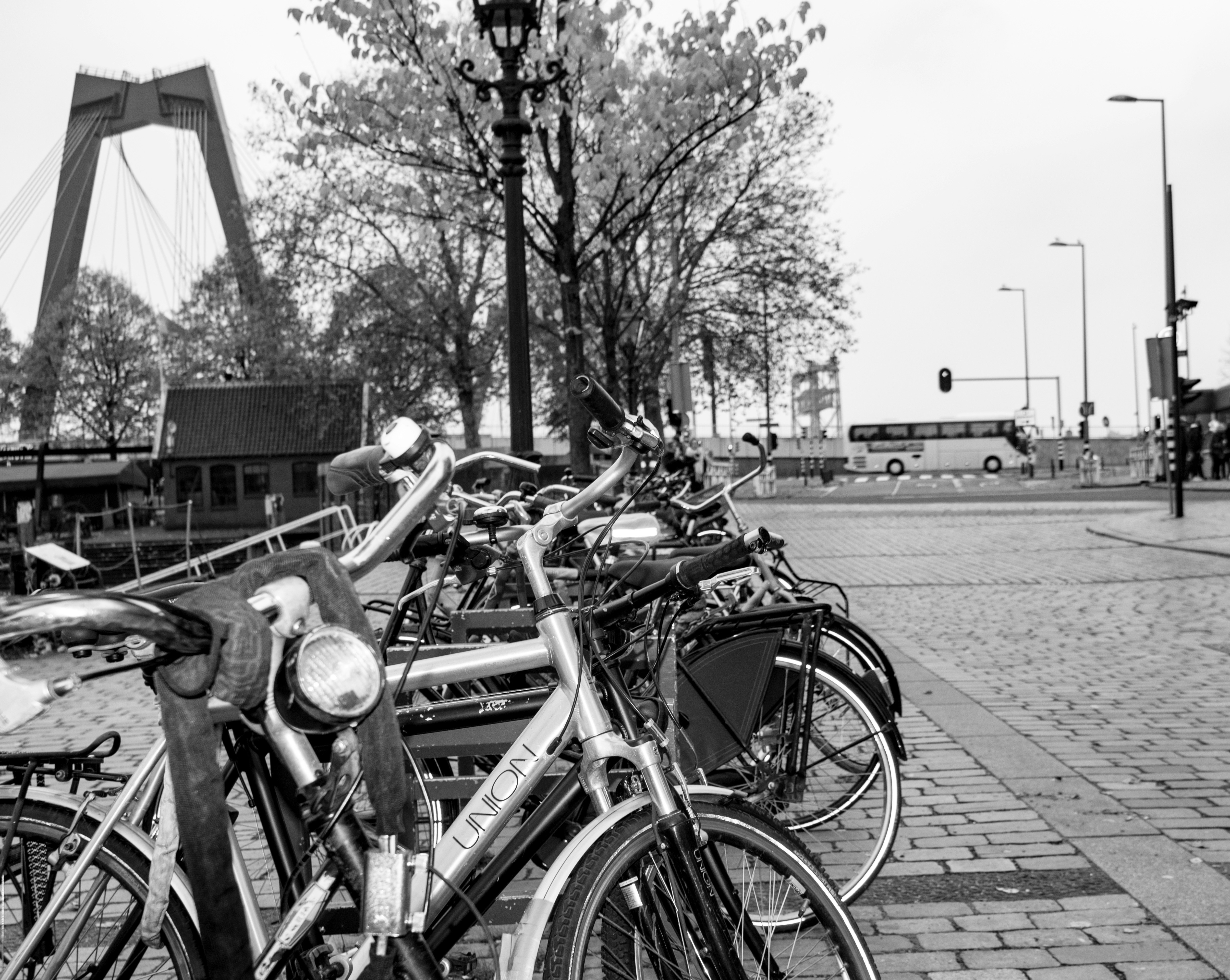 Amsterdam kanallarının önünde elinde Hollandaca ders kitabı tutan ve Hollanda kültürünü keşfeden genç bir öğrenci.