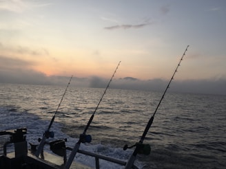 Three fishing rods are set up at the back of a boat as it moves across the ocean during a scenic sunset. The sky features a gradient of soft colors transitioning from orange to purple, with low clouds on the horizon.