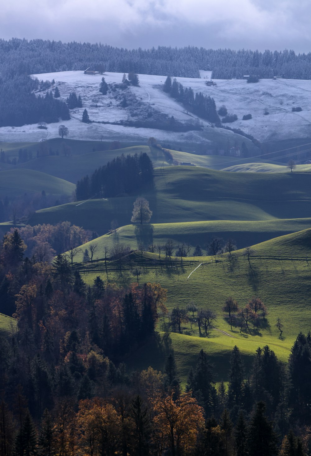 landscape field