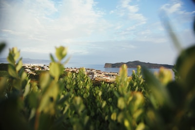 A scenic view of a coastal town in South Zealand.