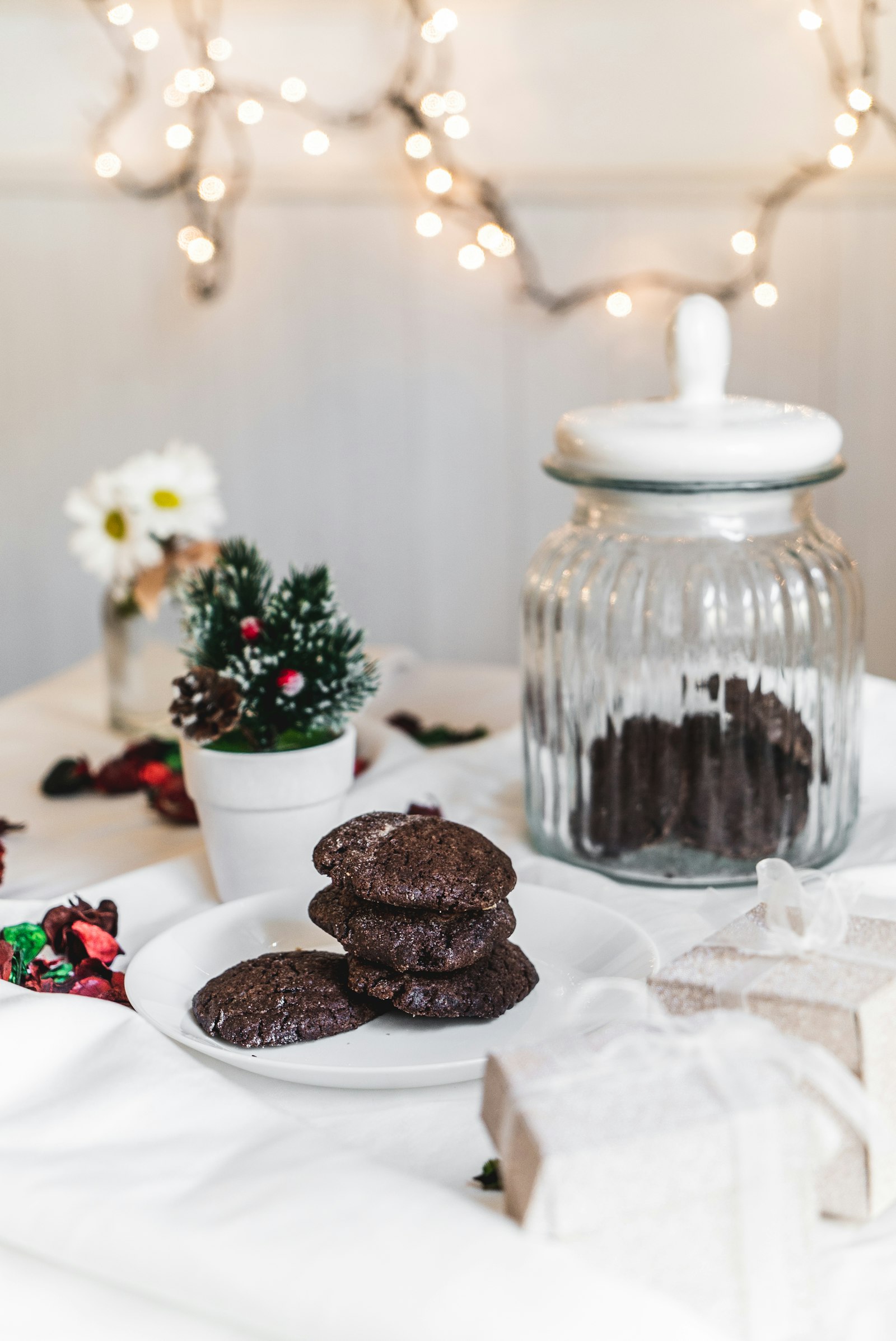 Sony a7S II + Sony Vario Tessar T* FE 24-70mm F4 ZA OSS sample photo. Chocolate cookies on white photography