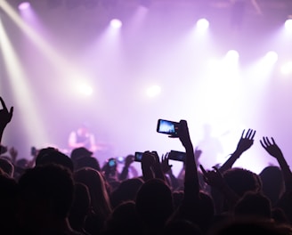 group of people enjoying concert