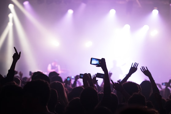 group of people enjoying concert