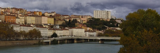 in distant photo of high-rise buildings in Croix-Rousse France