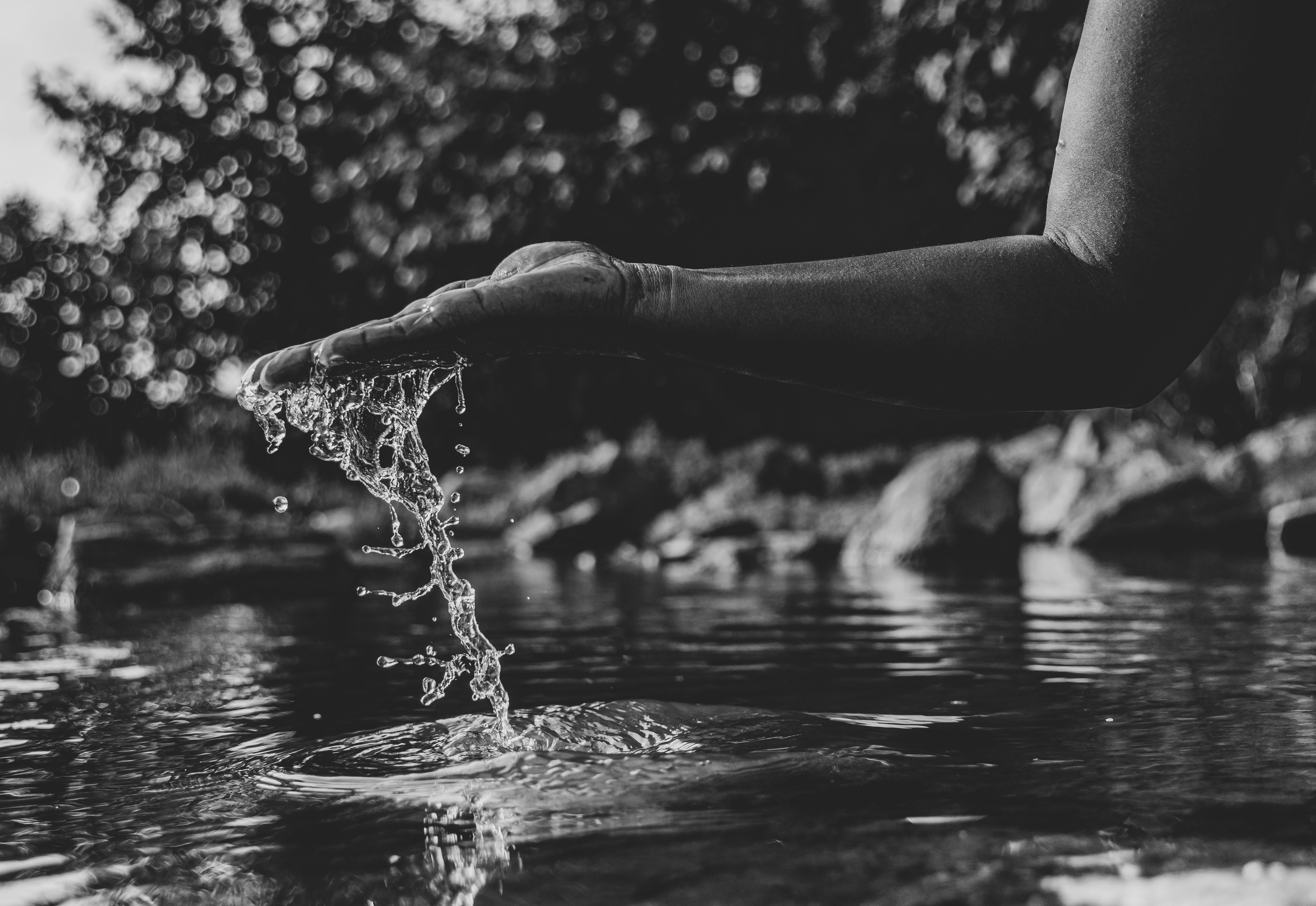 Photo by jphotography2012