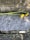 A stone plaque is situated on a ground covered with pebbles and fallen leaves. It bears the engraved text 'Wilmot Redd Hanged Sept. 22, 1692'. Resting on top of the stone, there is a perished sunflower with a long stem.