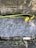 A stone plaque is situated on a ground covered with pebbles and fallen leaves. It bears the engraved text 'Wilmot Redd Hanged Sept. 22, 1692'. Resting on top of the stone, there is a perished sunflower with a long stem.