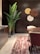 A modern interior space featuring a dark wood wall with decorative round panels in shades of brown, yellow, and white. A tall plant with large green leaves is placed next to a dark wooden cabinet on the left. A round wooden table and a chair with a cream-colored seat are visible, and the floor is covered by a striped textured rug in shades of pink and cream.