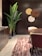 A modern interior space featuring a dark wood wall with decorative round panels in shades of brown, yellow, and white. A tall plant with large green leaves is placed next to a dark wooden cabinet on the left. A round wooden table and a chair with a cream-colored seat are visible, and the floor is covered by a striped textured rug in shades of pink and cream.