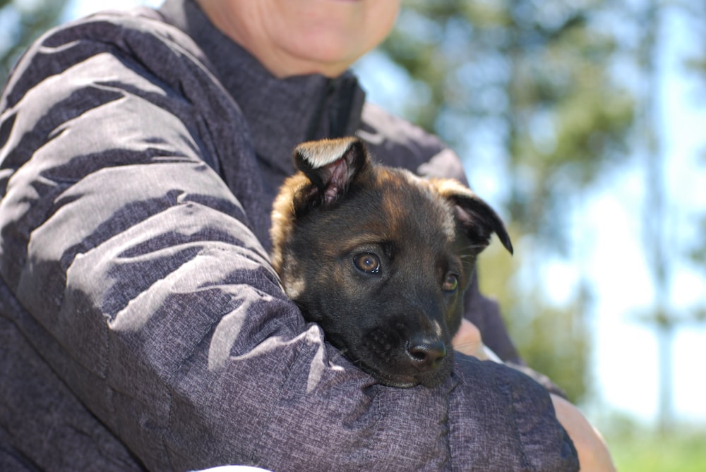 man carrying dog