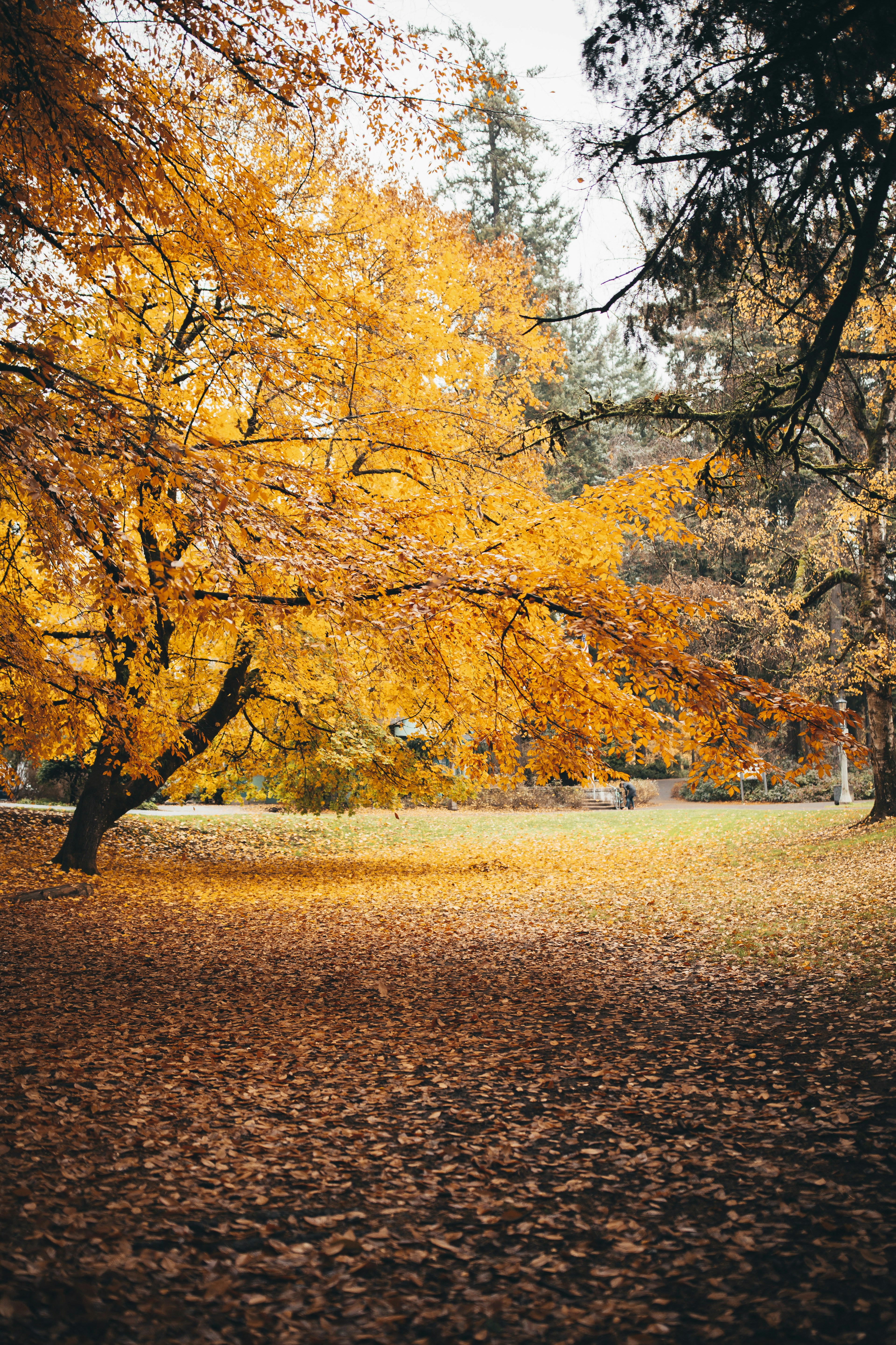 Photo by vadimparipaphotography