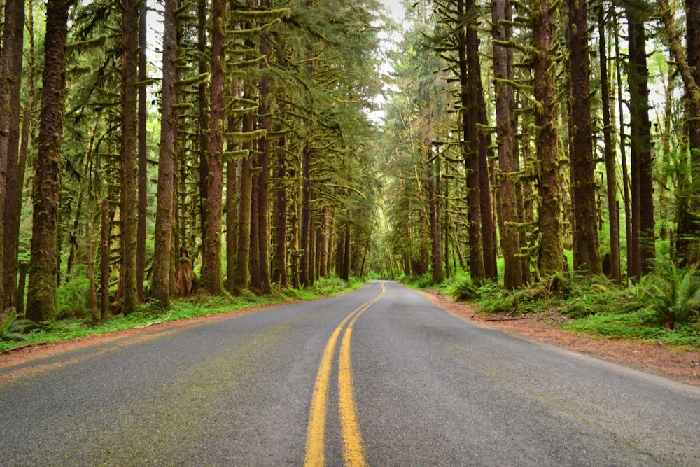 gray concrete road