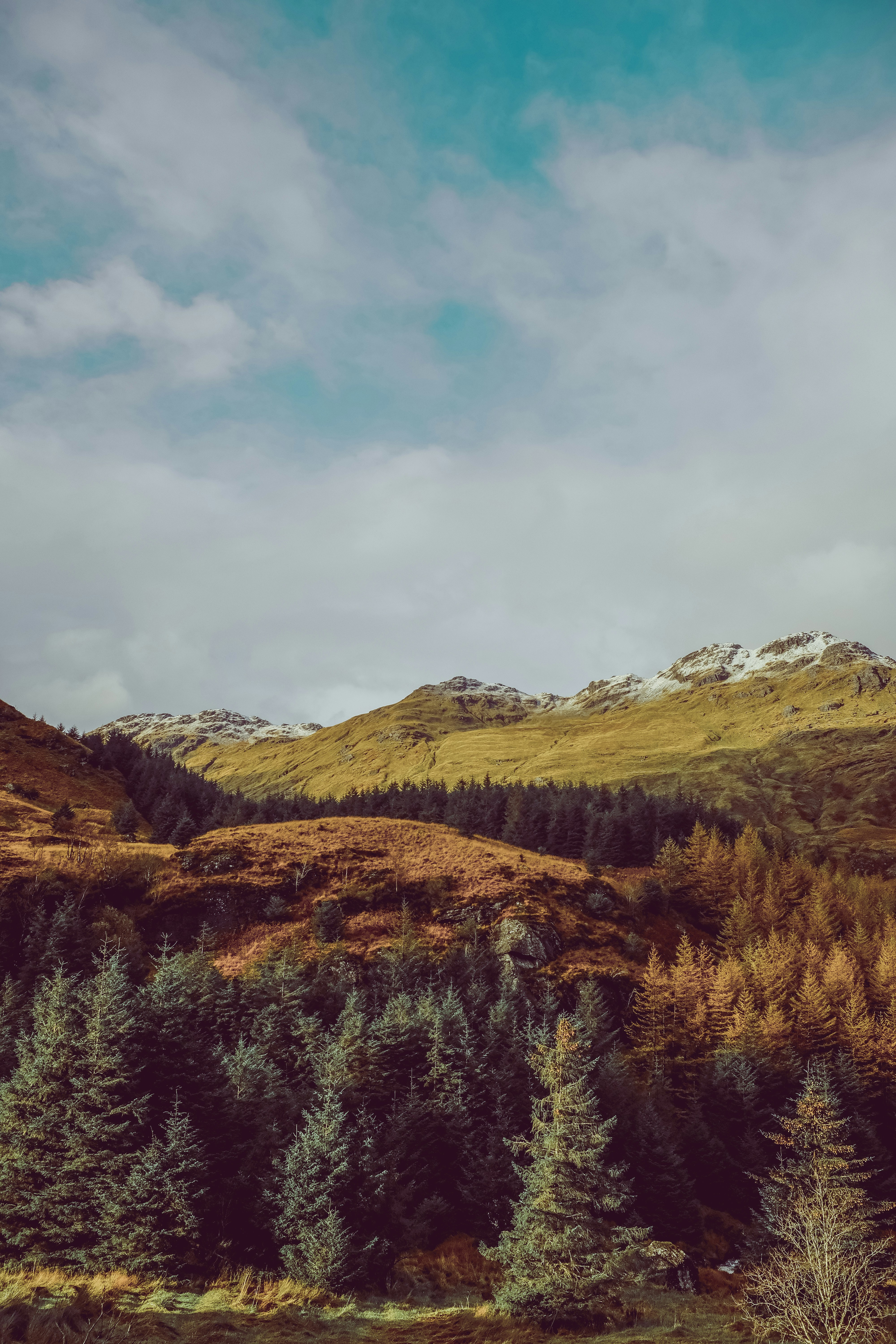 Photo by freshseteyes