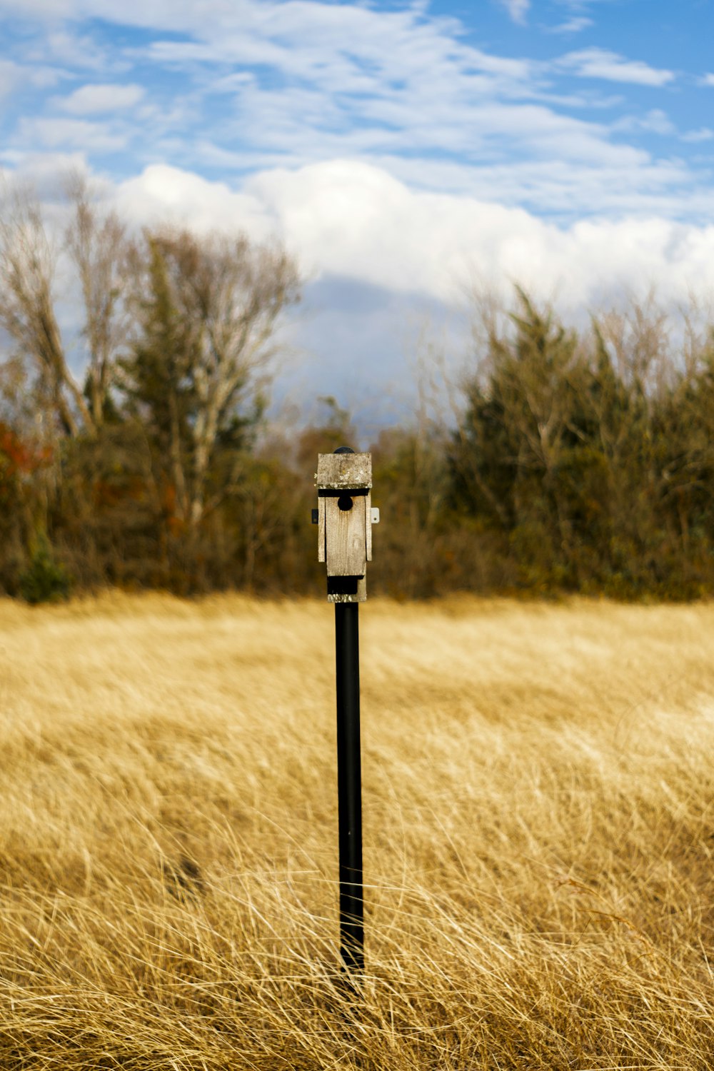 black bird feeder on grass field