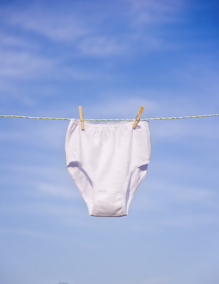 Selling Panties for Dummies