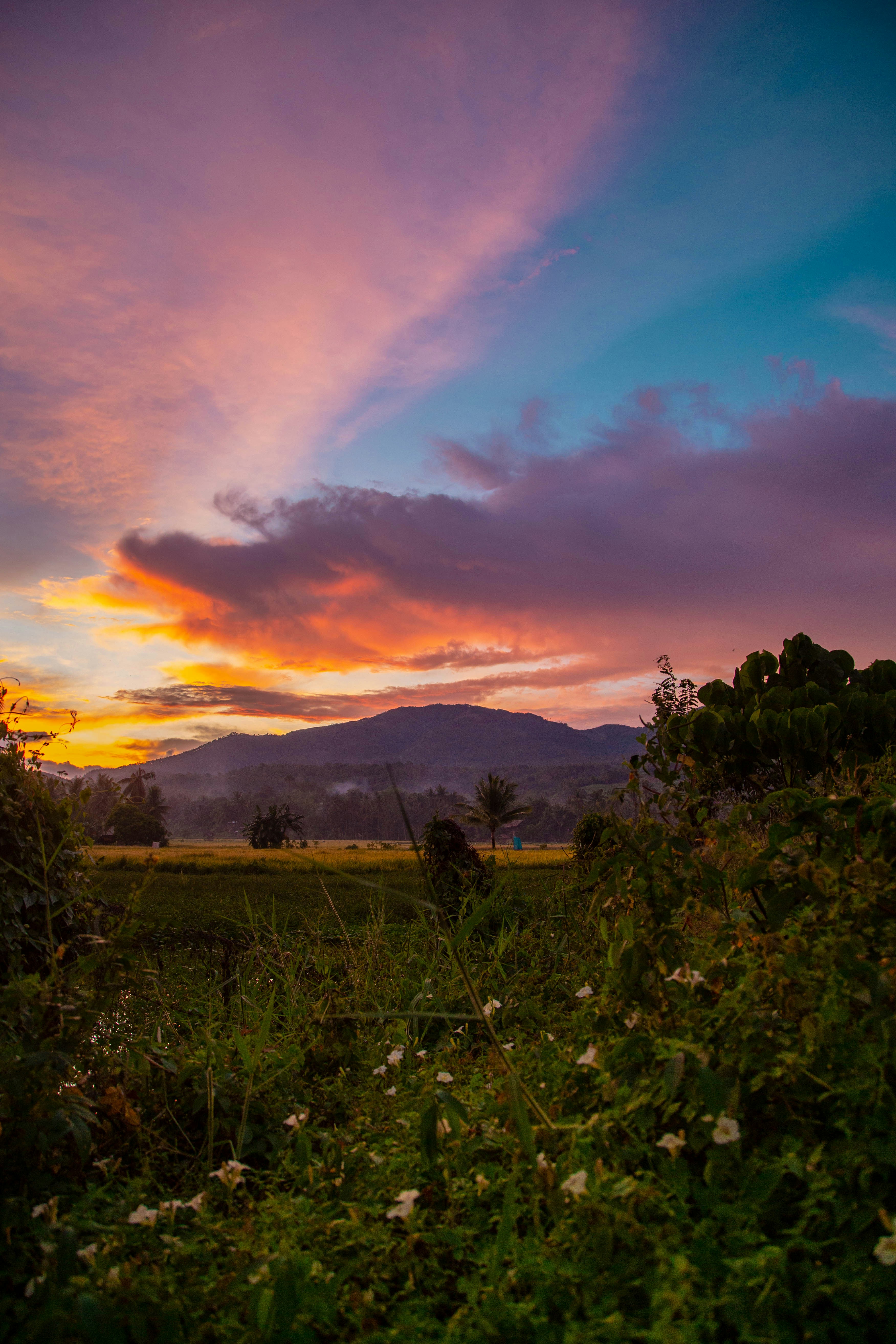 Photo by aaronletigio