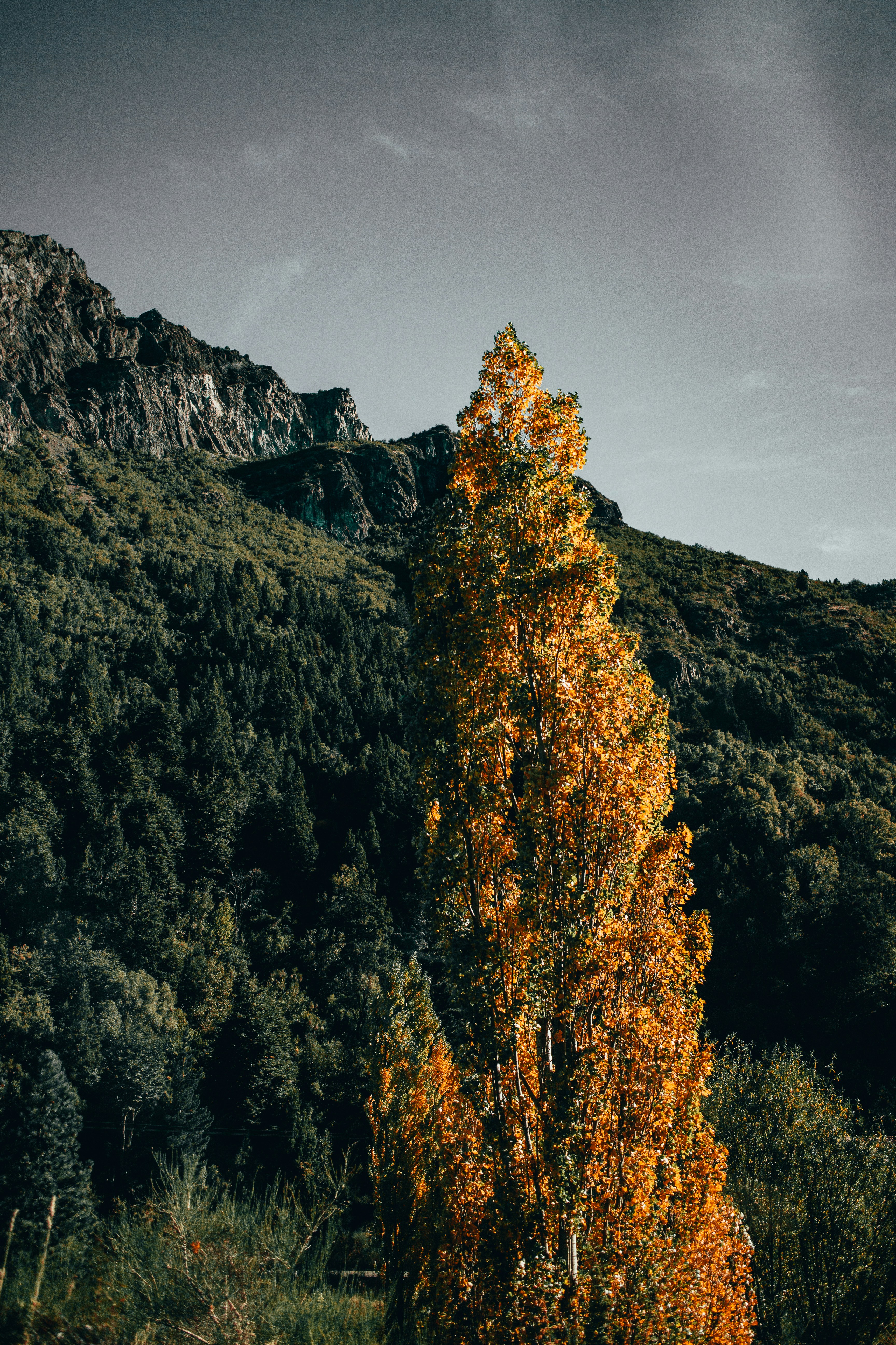 Photo by juantasstic