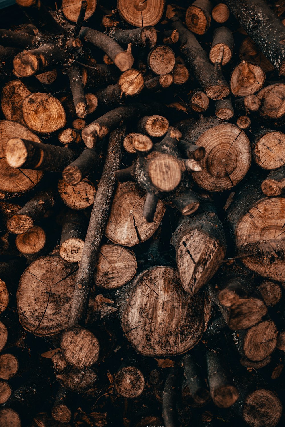 pile of wood logs