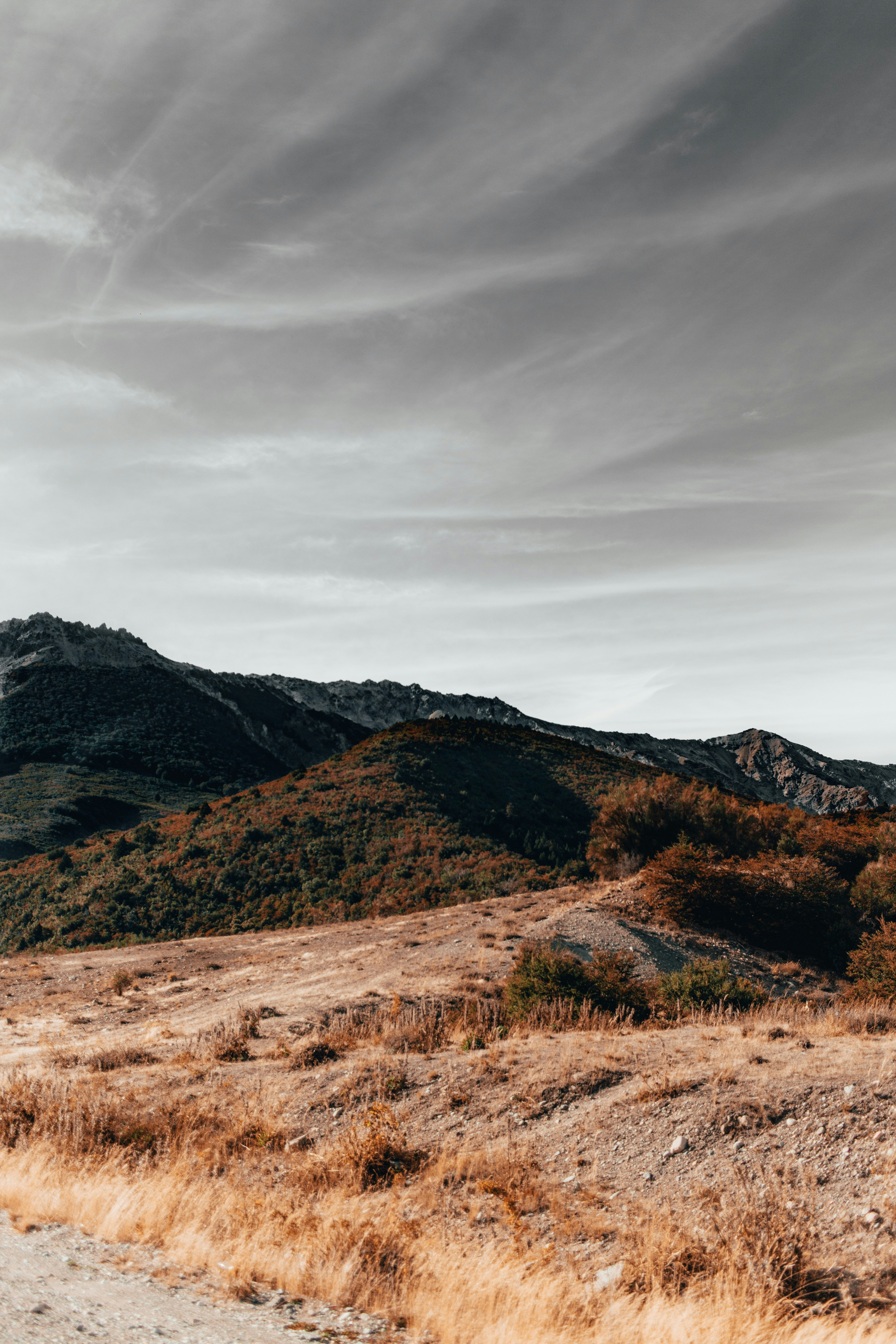 Photo by juantasstic