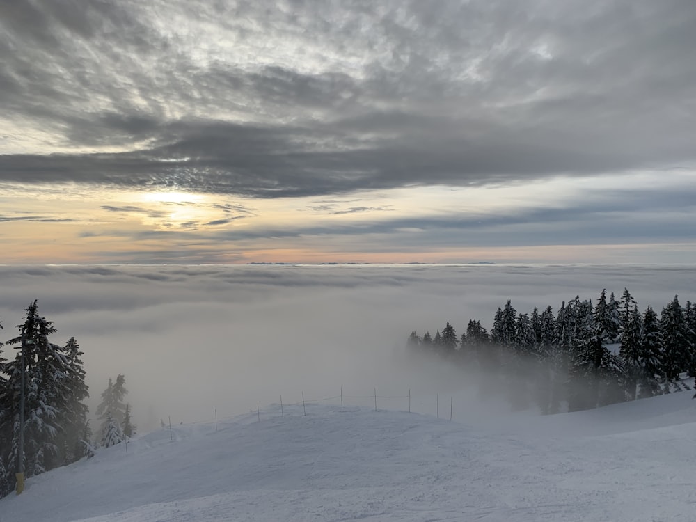 aerial photo of sea of clouds