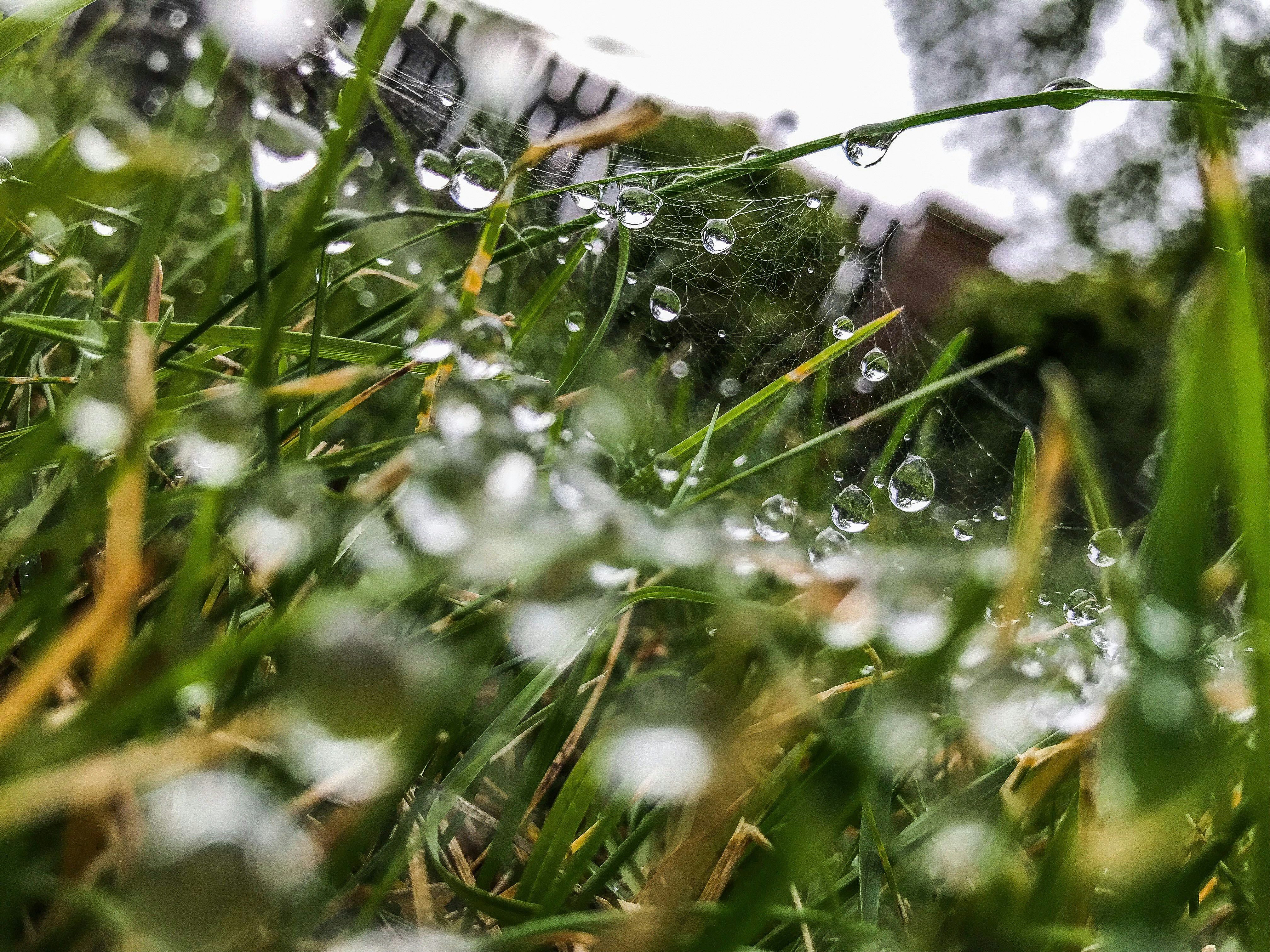 Photo by aidamarie_photography