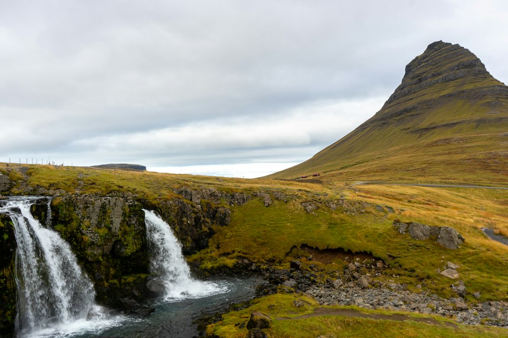 Skógafoss · lupinas