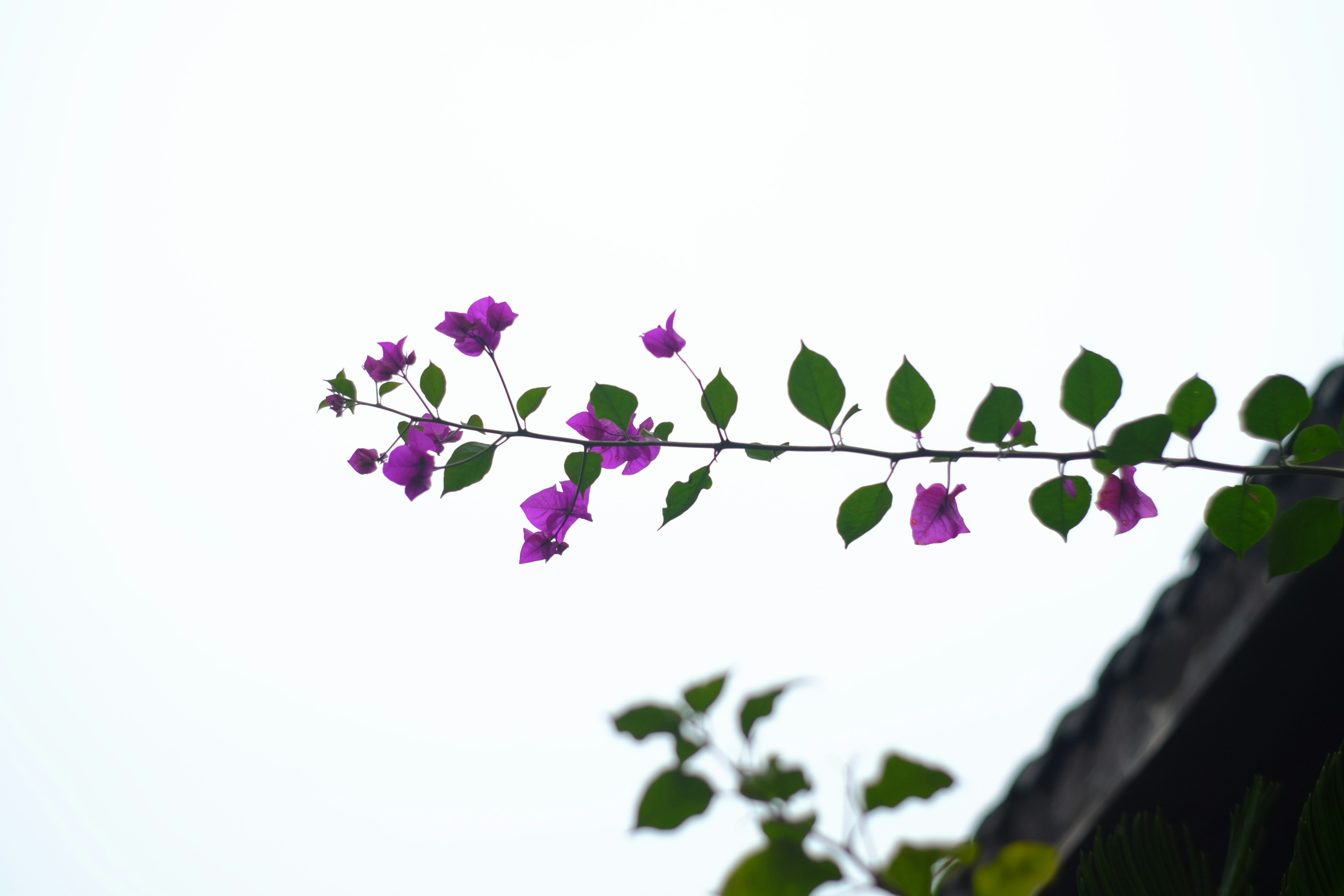 Photo by since2018