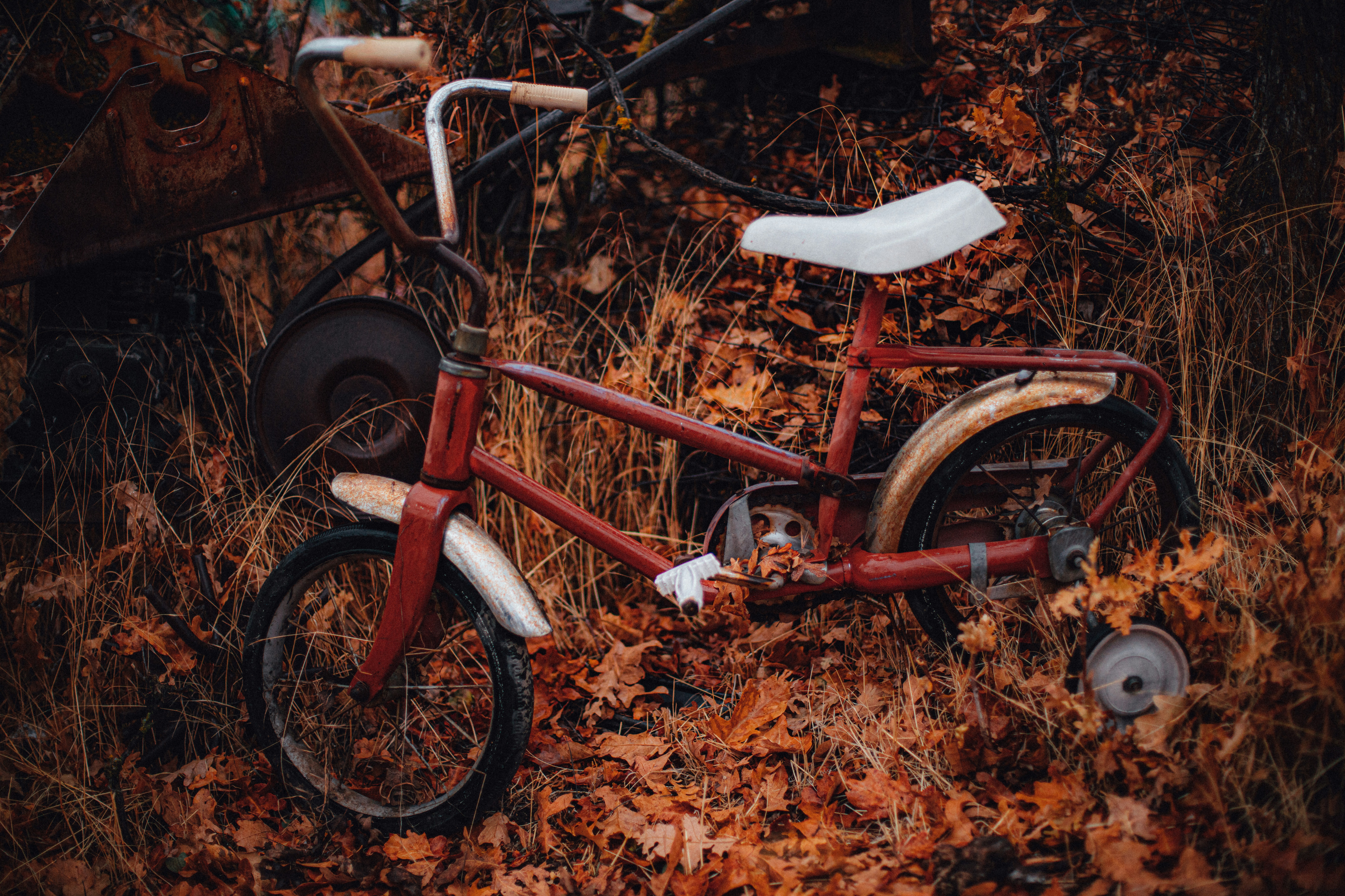 Photo by worldsbetweenlines