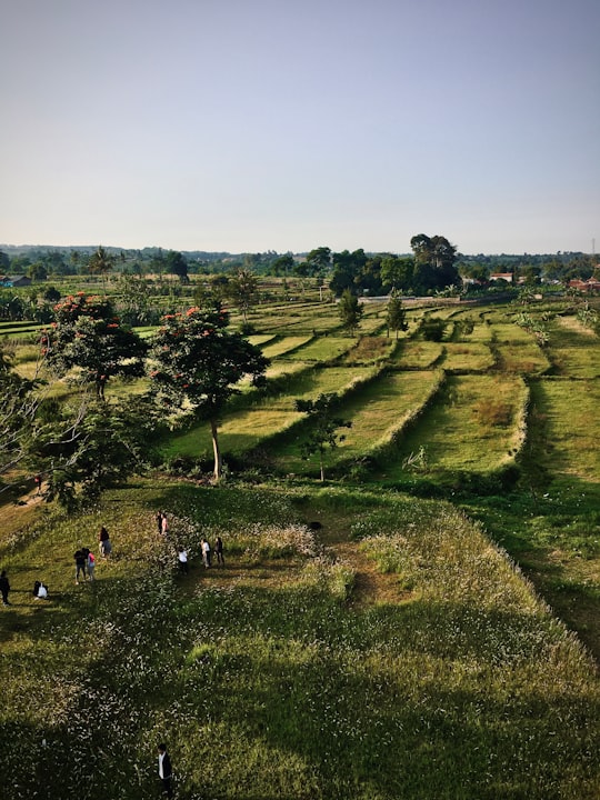 people on green grass field in Bogor Indonesia