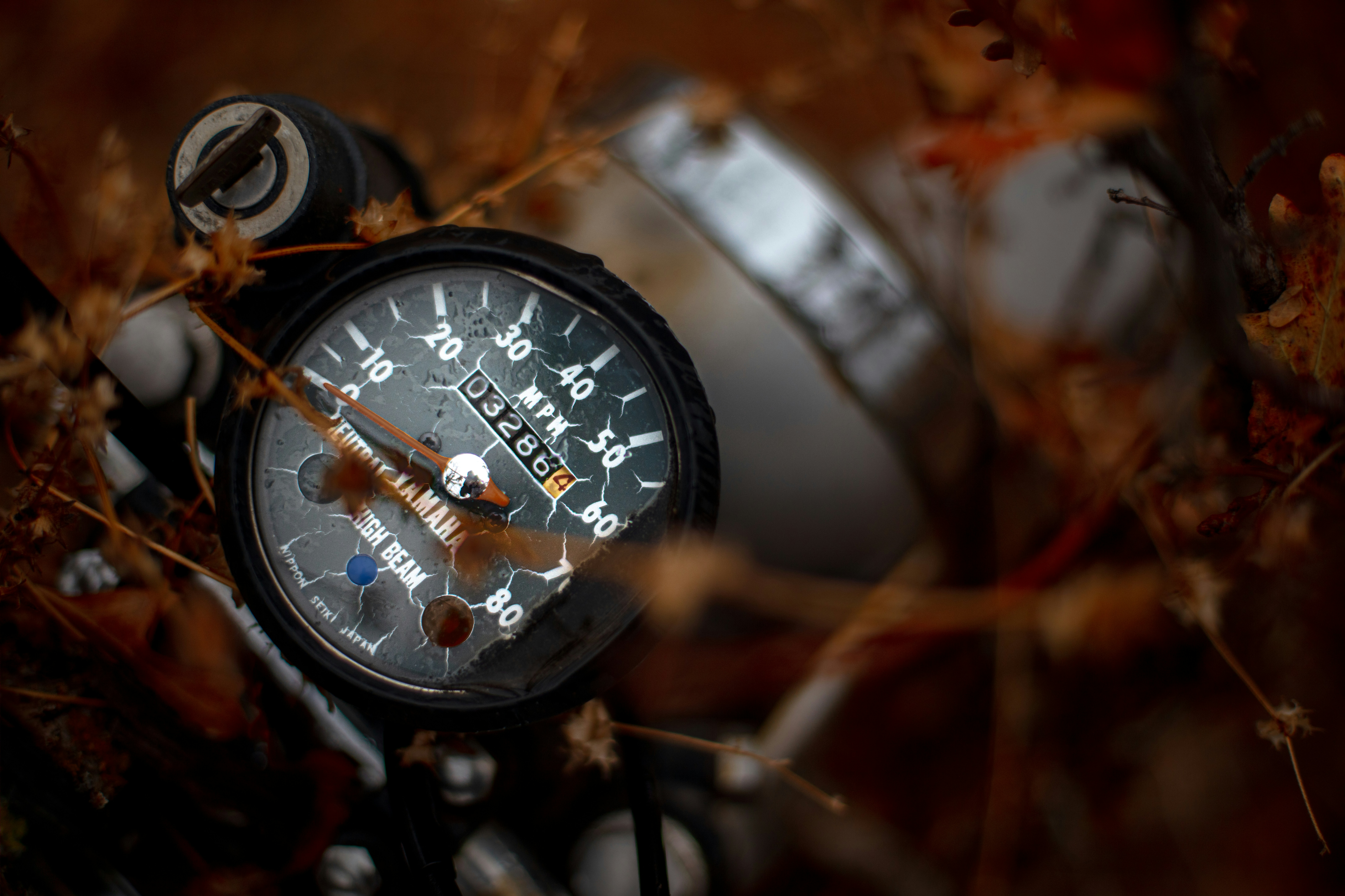 Photo by worldsbetweenlines