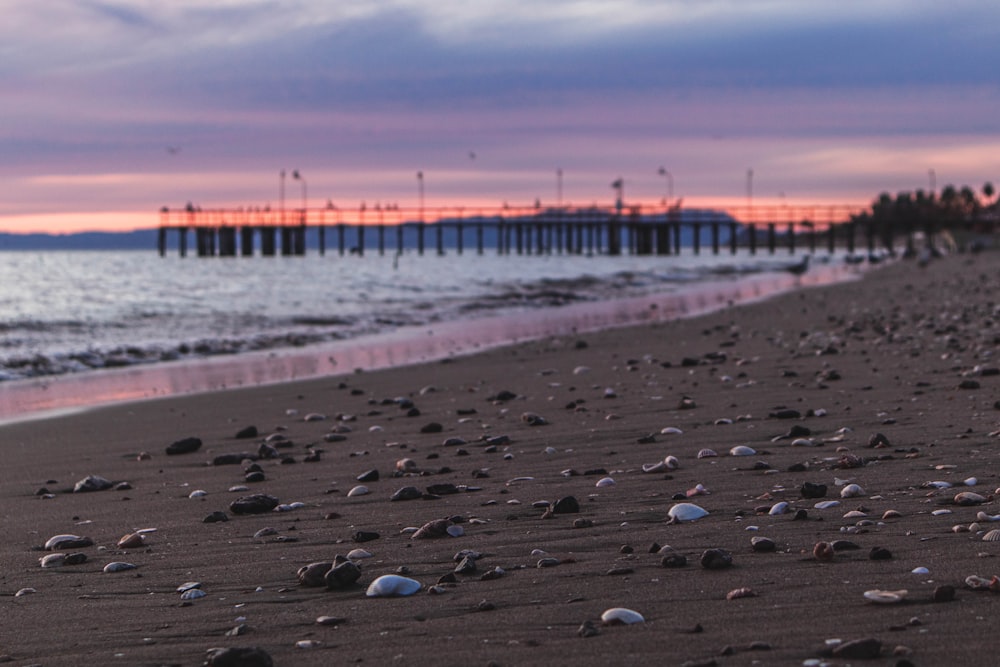 beach line under gray sky