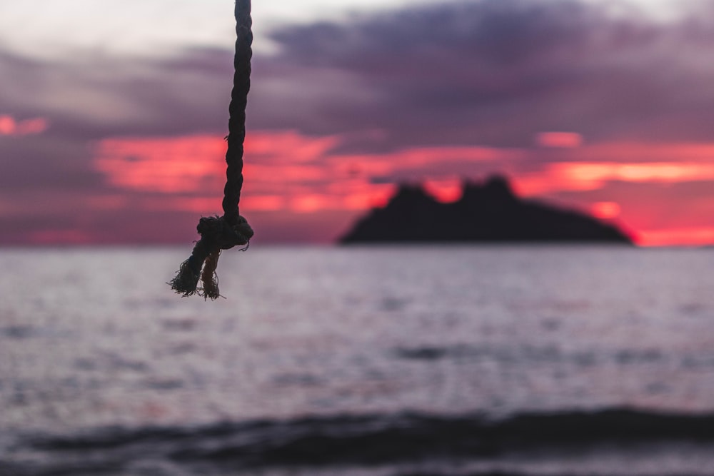 fotografia de foco seletivo da corda perto do mar