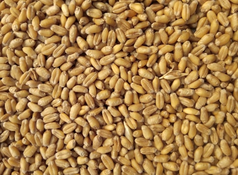 The Benefits of Whole Grains for Metabolic Syndrome