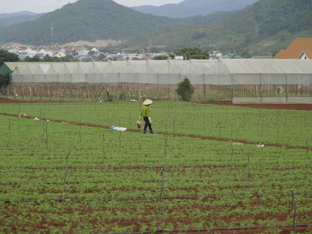 Persona que se encuentra en el campo verde