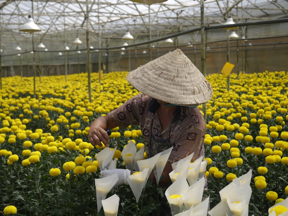 woman harvesting flowers