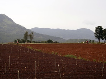 A clean agricultural field with freshly tilled soil and farming equipment in the background.