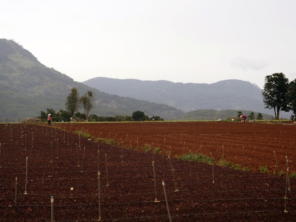 A vast agricultural field with rows of freshly tilled soil in the foreground, extending into the distance. Two figures wearing hats are working in the field. The background features lush green hills, partially covered with trees, under an overcast sky.
